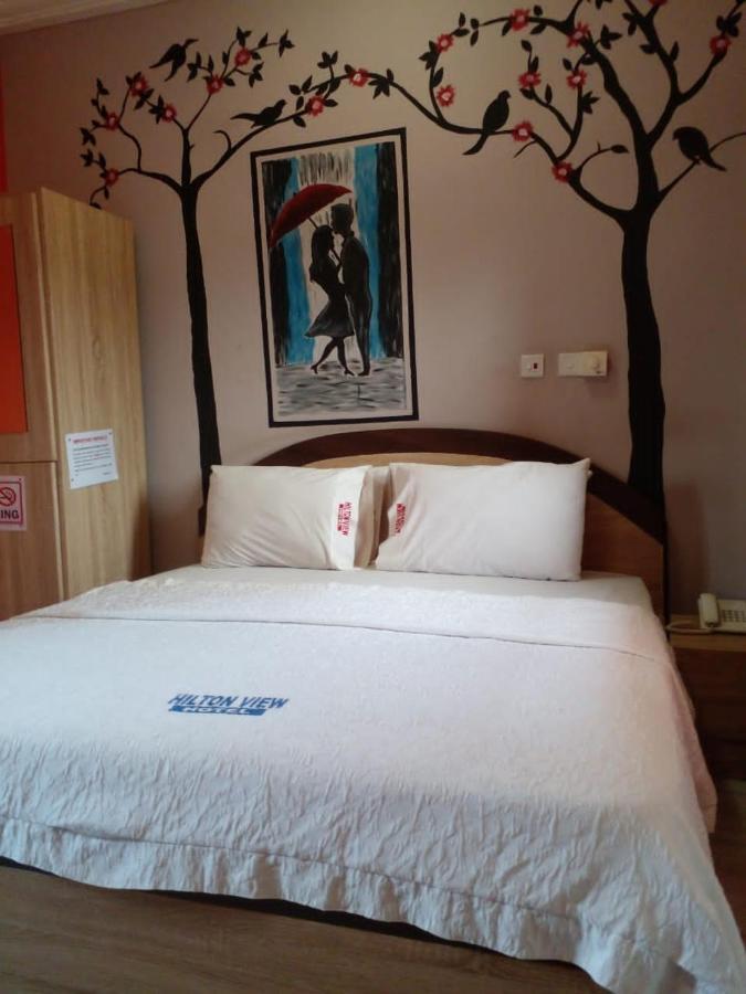 Hilton View Hotel Ogbodjo Bagian luar foto